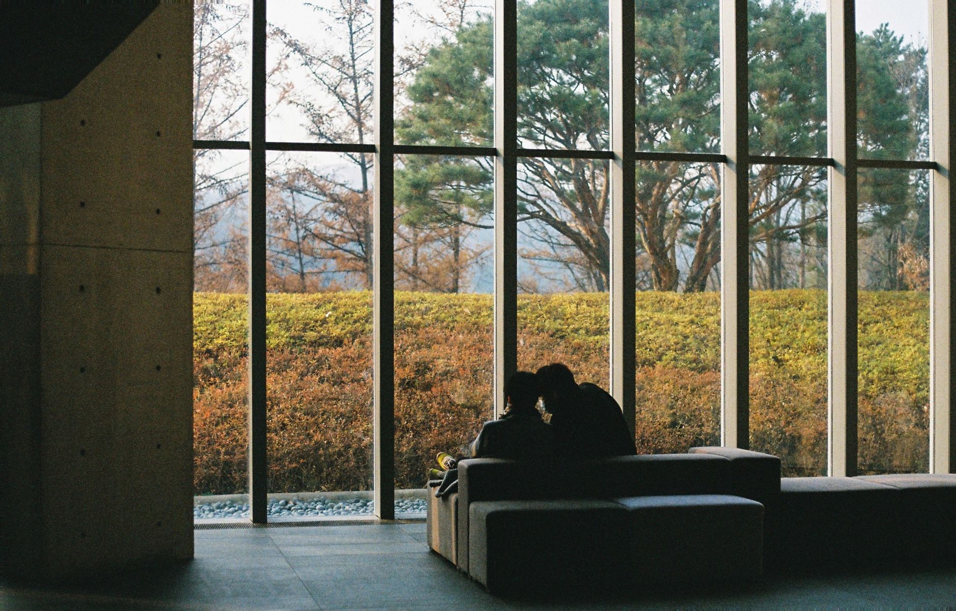 couple sofa in front of a glass wall admiring autumn views